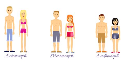 We did not find results for: Workout Plan For Female Endomorph | EOUA Blog