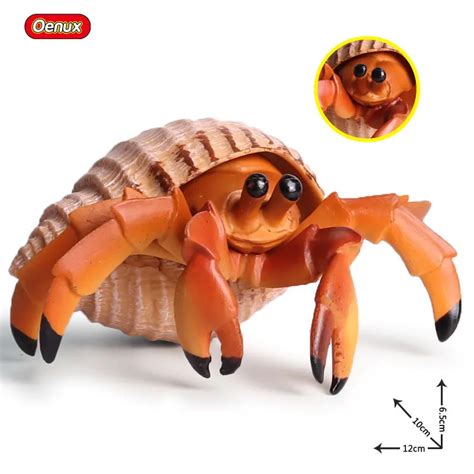 Oenux Ocean Animals Simulation Hermit Crab Sea Life Animal Model