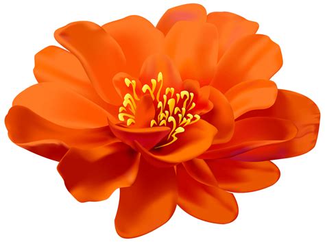 Orange Flower Png Vibrant Colors