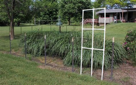 Decorate Your Fence With A Custom Trellis From Pvc Pipe Goodwill