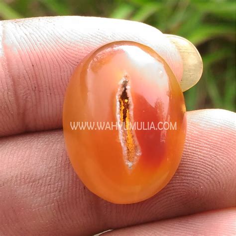Check spelling or type a new query. Batu Akik Sulaiman Combong Madu Asli (Kode:497) - Wahyu Mulia