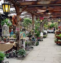 Craigslist Dallas Your Gateway To Affordable And Cozy Rental Houses