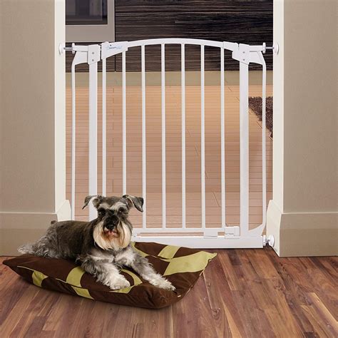 The Best Baby Gates Of 2020 — Reviewthis