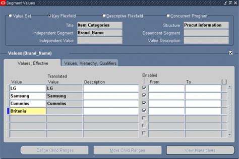 Item Category Flexfield Structures Oracle Erp Apps Guide