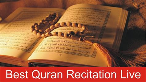 Best Quran Recitation Live Youtube