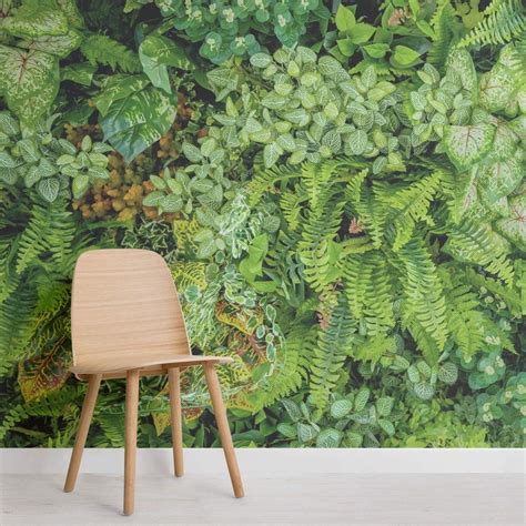 Plant Wall Leaf Wallpaper Mural Paradise Wallpaper Palm Wallpaper