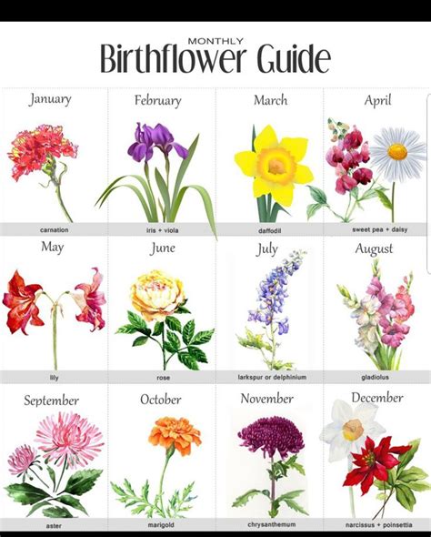 Birth Month Flower Chart For Tattoos Birth Flower Tattoos Birth