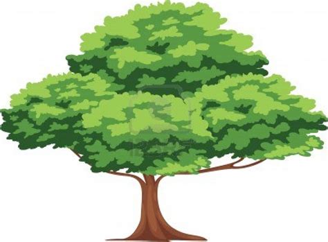 99 Vector Png Tree Free Download 4kpng