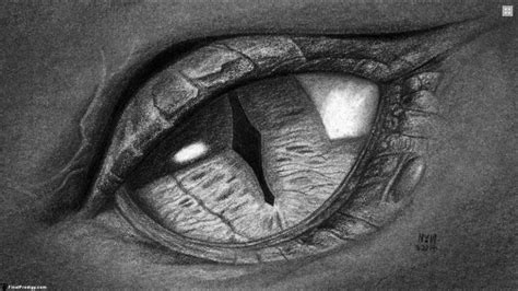 Dragon Eyes Drawing Pencil Sketch Colorful Realistic Art Images