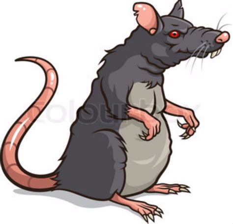 Rat Mouse Rodent Cartoon Png 1278x1230px Rat Cartoon Claw Drawing