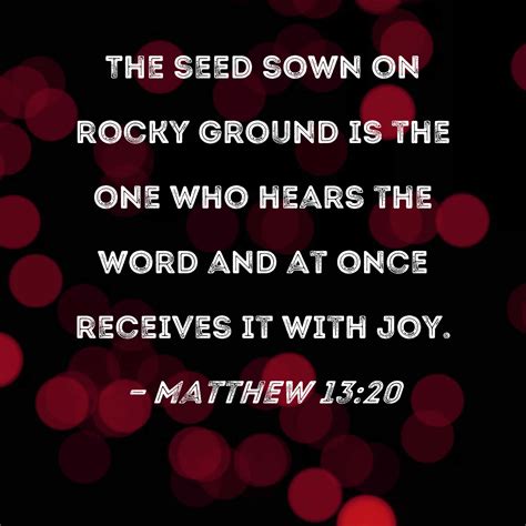 Matthew 1320 The Seed Sown On Rocky Ground Is The One Who Hears The