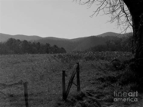Smoky Mountain Glory Black And White Photograph By Charlene Cox Fine