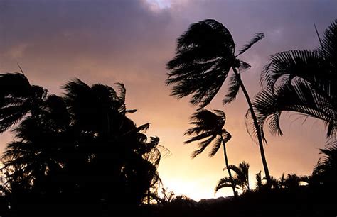 Florida Storms Stock Photos Pictures And Royalty Free Images Istock