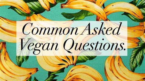 Common Asked Vegan Questions