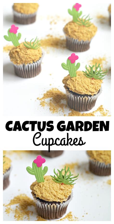 Flowers of the thanksgiving cactus are produced from the tips, or from where i use succulent/cacti potting soil and water that's been purified or left to sit for days so the chemicals. Cactus Garden Cupcakes - Val Event Gal