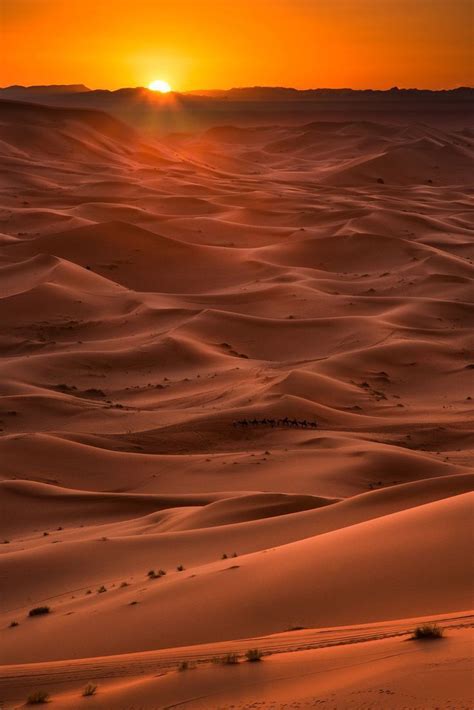 The Sun Setting Over The Sahara Desert In Morocco Desert Photography Desert Aesthetic