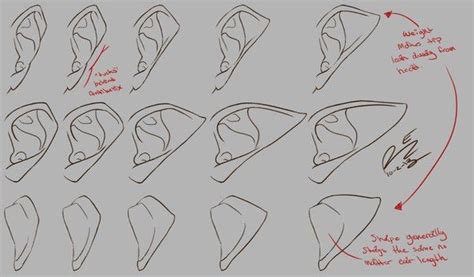 Draw Pointy Elf Ears At Various Angles Observe How They Compare To