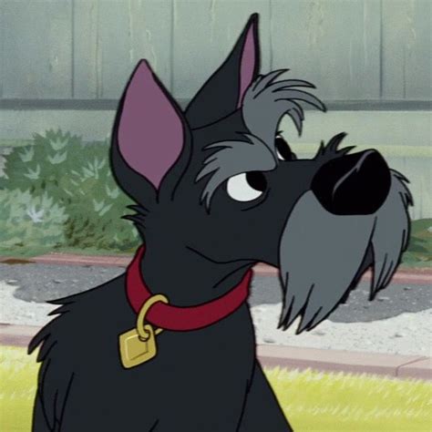 What Type Of Dog Was Jacque In Lady And The Tramp Pets Lovers