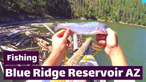 Fishing Blue Ridge Reservoir Az Youtube