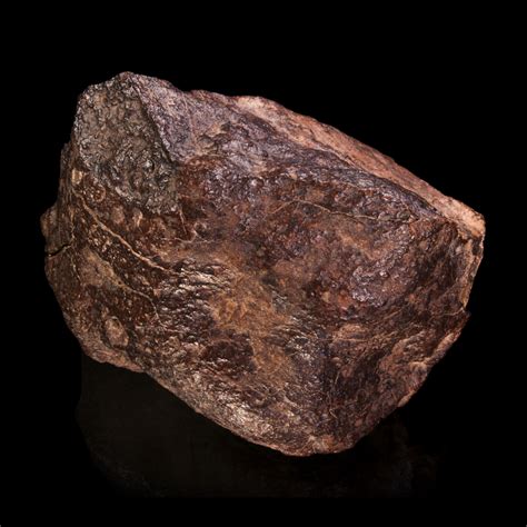 Meteorite Facts Interesting Facts About Meteorites Space Facts