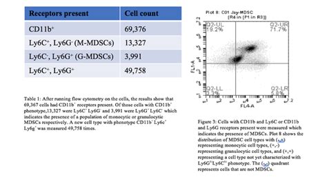 Results Myeloid Derived Suppressor Cells