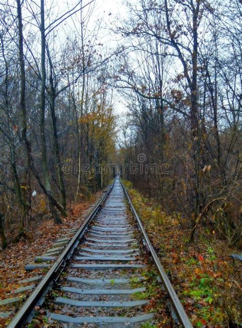 Autumn Railway Stock Image Image Of Depression Autumn 157475275