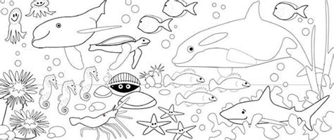 Seruu Kumpulan Sketsa Gambar Mewarnai Binatang Laut Untuk Anak Paud