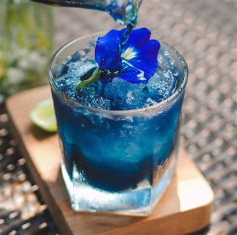 Buy butterfly pea flower at low prices for an affordable way to stay refreshed. Organic Butterfly Pea Flower Tea - Anti-aging and ...