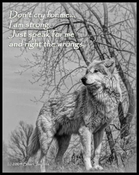 Wolf Quote Wolf Spirit Animal Wolf Love Wolf Quotes