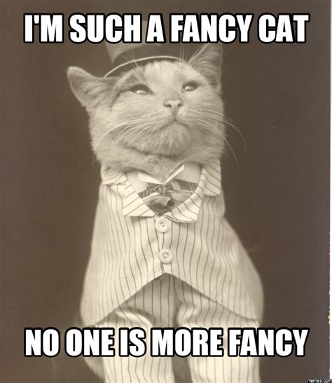 Im Such A Fancy Cat No One Is More Fancy