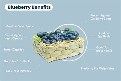 Blueberry Benefits Nutritional Facts Side Effects