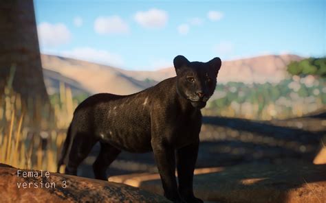 Melanistic Lion At Planet Zoo Nexus Mods And Community