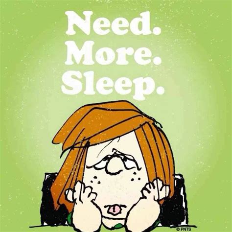 Need More Sleep Funny Quotes Quotesgram