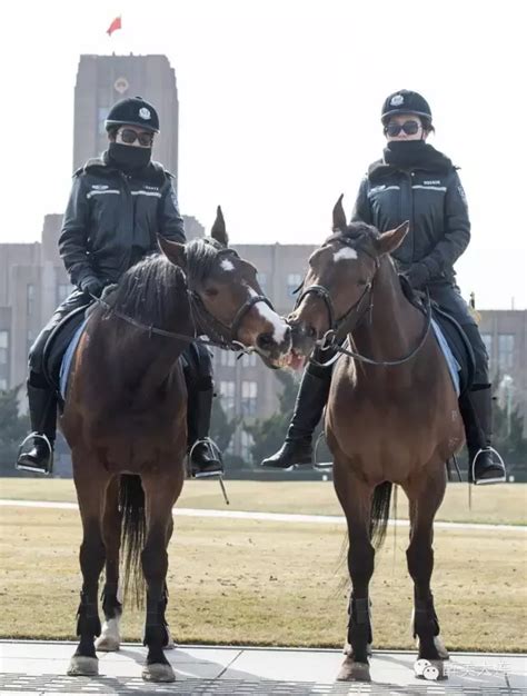 Dalians Mounted Policewomen In Full Leather Uniform Riding Helmets