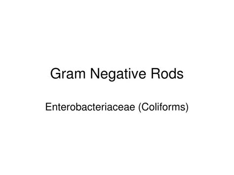 Ppt Gram Negative Rods Powerpoint Presentation Free Download Id