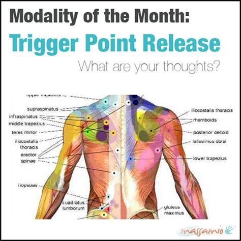 Most of the time, back muscle pain is diagnosed then treated with little more than a prescription of rest, painkillers and muscle relaxants. Trigger point release is a very common technique in ...