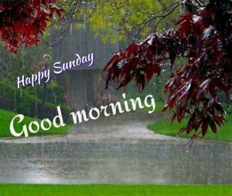 Pin by Margarita Ferrell on Happy Sunday in 2020 | Happy sunday, Sunday morning quotes, Rainy sunday