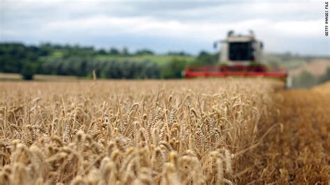 Russia To Lift Grain Export Ban On July 1