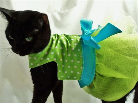 Come creare un capo di abbigliamento per gatti caldo e morbido, ma anche altamente per realizzare questo capo di abbigliamento per gatti (ma anche per cani, per conigli e altri animaletti da. Abbigliamento per gatti, foto di look eleganti da copiare ...
