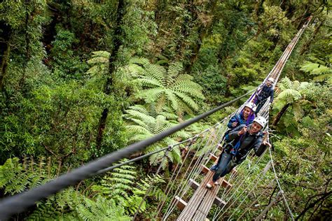 Get to know how many weight can be supported by the cables used in the ziplining system and what. Rotorua Zipline Canopy Adventure Eco ForestTours 2019