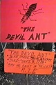 The Devil Ant - Il Cineocchio