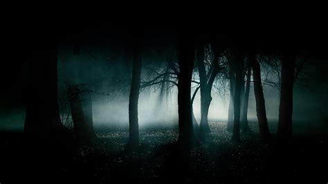 Dark Forest Backgrounds Wallpaper Cave