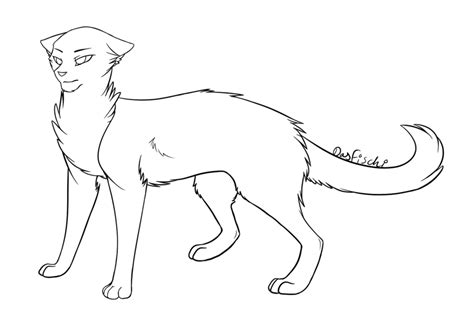 Cat outline drawing free download best cat outline drawing on. Warriors Cats Drawing at GetDrawings | Free download