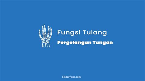 Maybe you would like to learn more about one of these? √ Fungsi Tulang Pergelangan Tangan Lengkap+Gambar