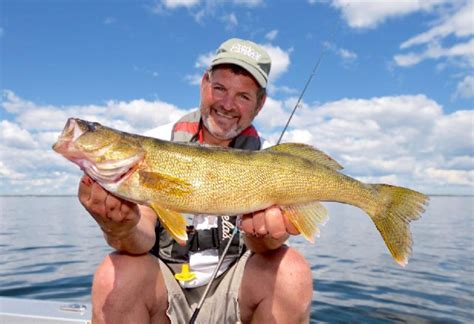 How To Catch Walleye All Year Long With The Jigging Minnow Outdoor Canada