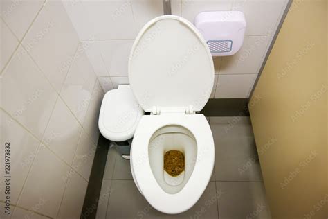 Feces In Public Toilet Users Who Forget To Flush The Toiletdirty