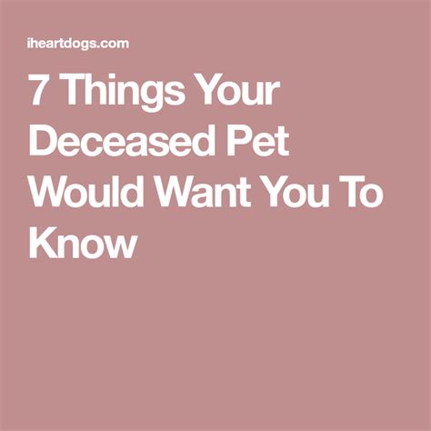 7 Things Your Deceased Pet Would Want You To Know Deceased