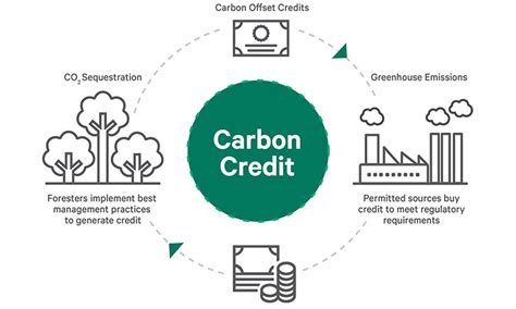Justcarbon Likvidi Launch Blockchain Markets For Carbon Credits