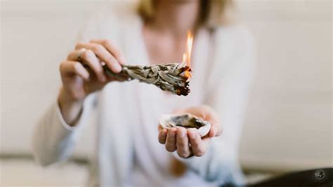 Four Ways To Keep Your Sage Sticks Growing With Out Burning The