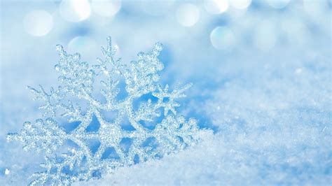 We did not find results for: Snowflake Desktop Background (68+ images)